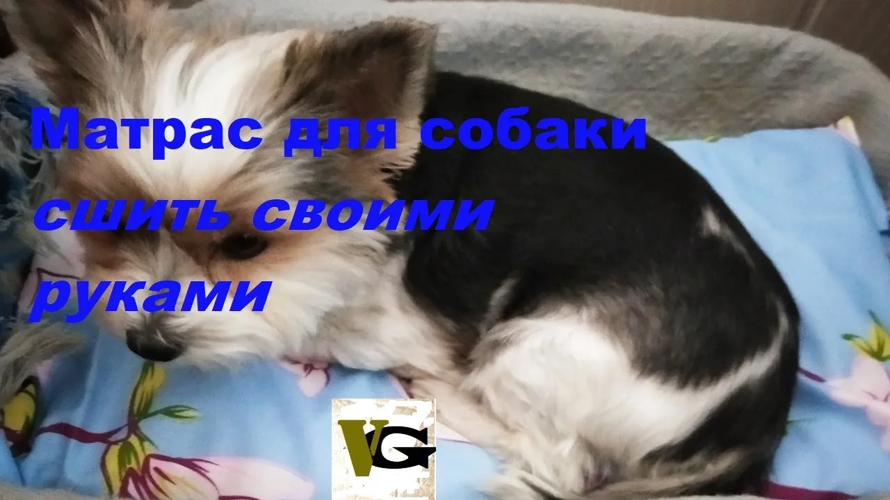 Видео на YouTube