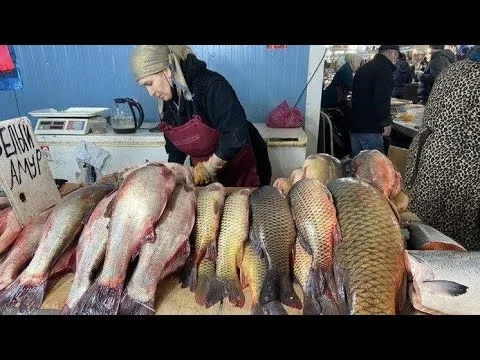 Видео на YouTube