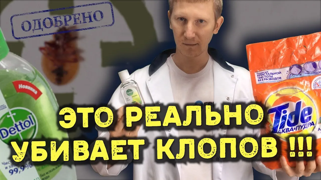 Видео на YouTube