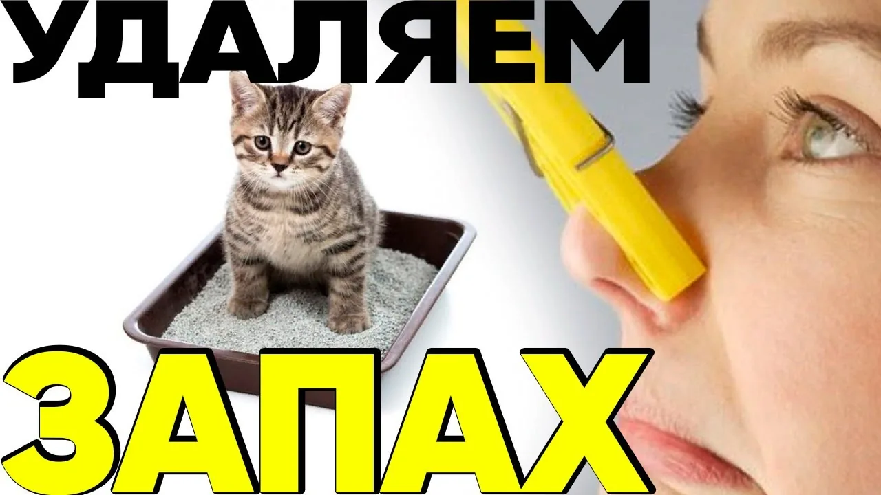 Видео на YouTube