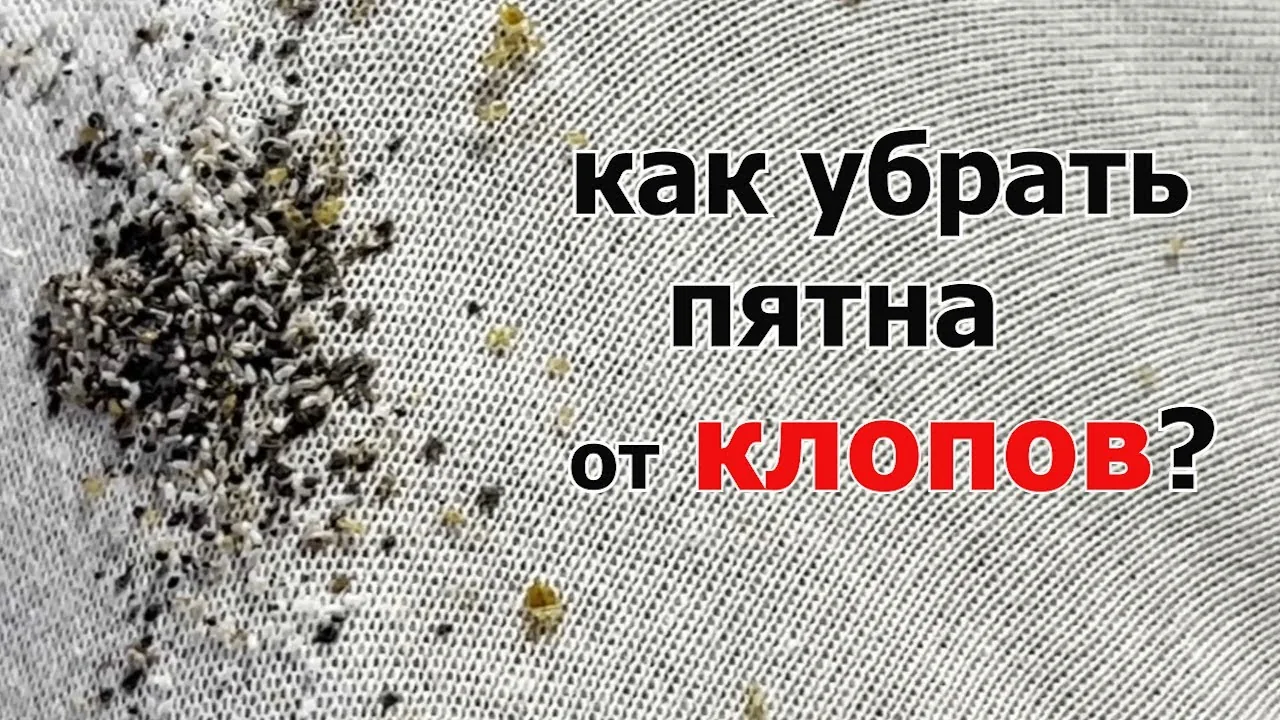 Видео на YouTube