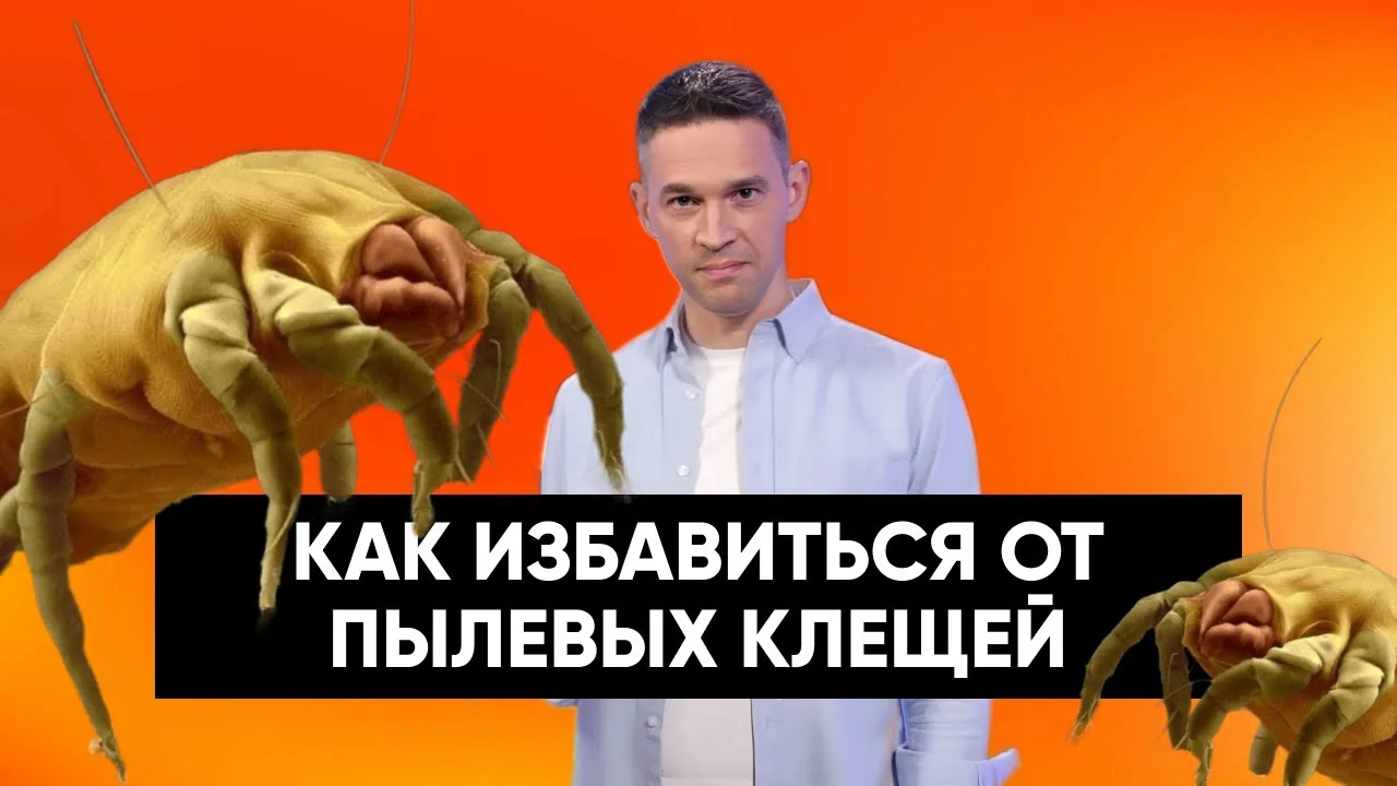 Видео на YouTube