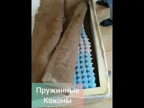Видео на YouTube