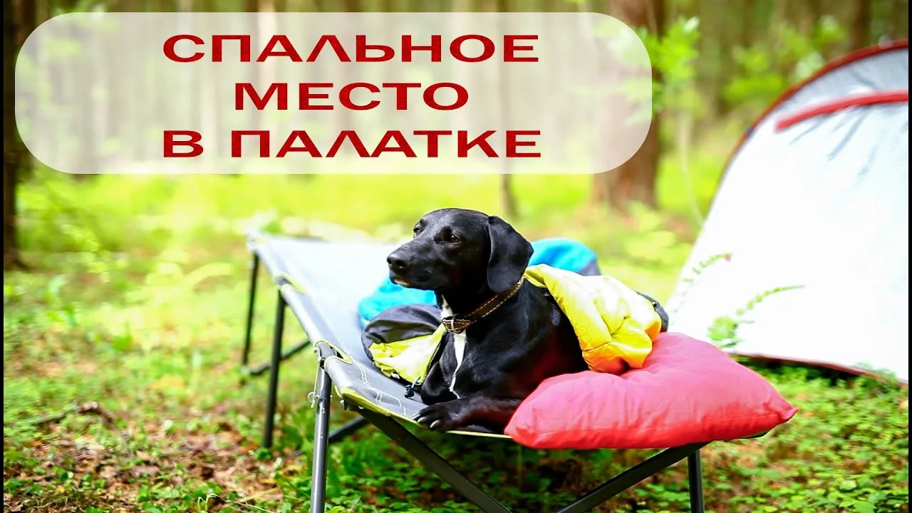 Видео на YouTube