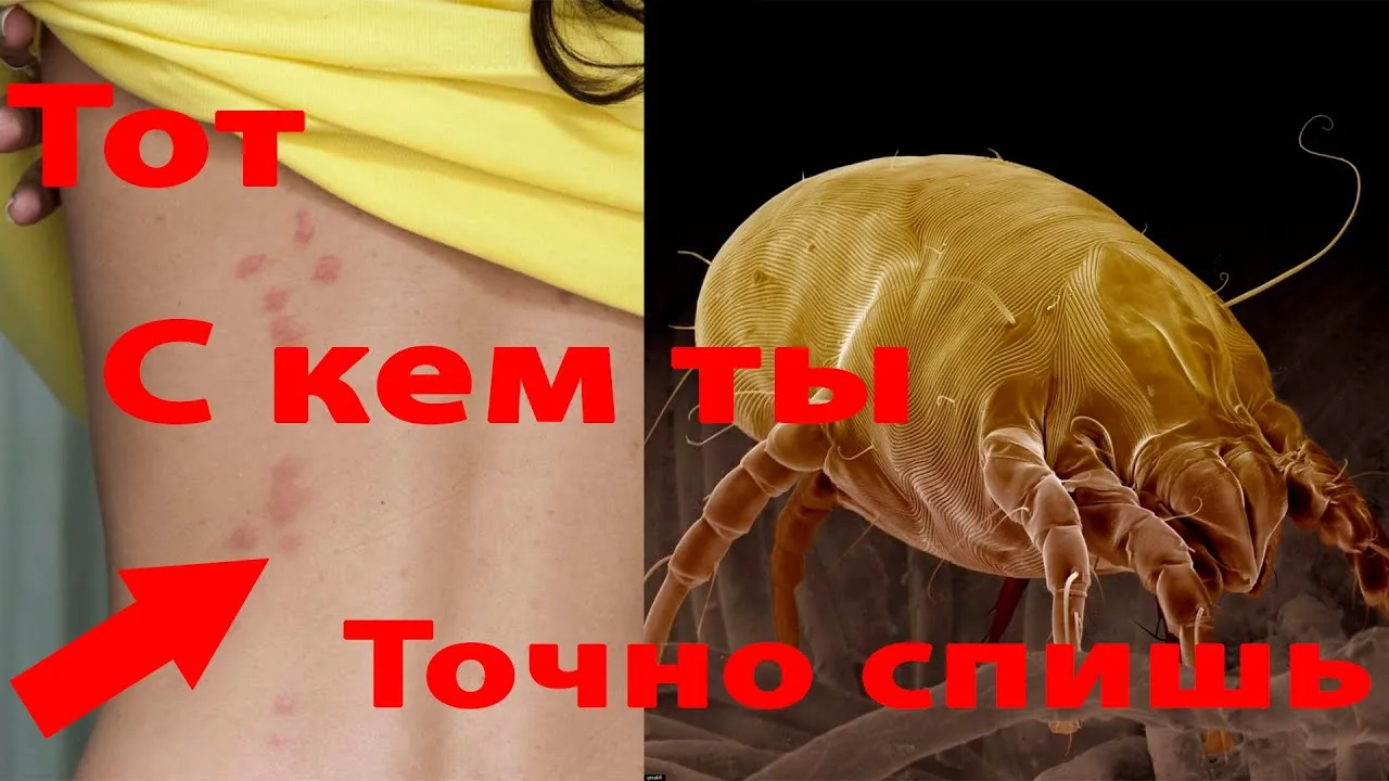 Видео на YouTube