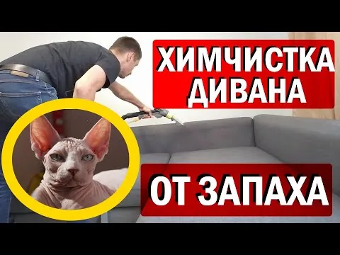 Видео на YouTube