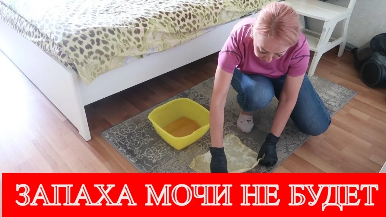 Видео на YouTube
