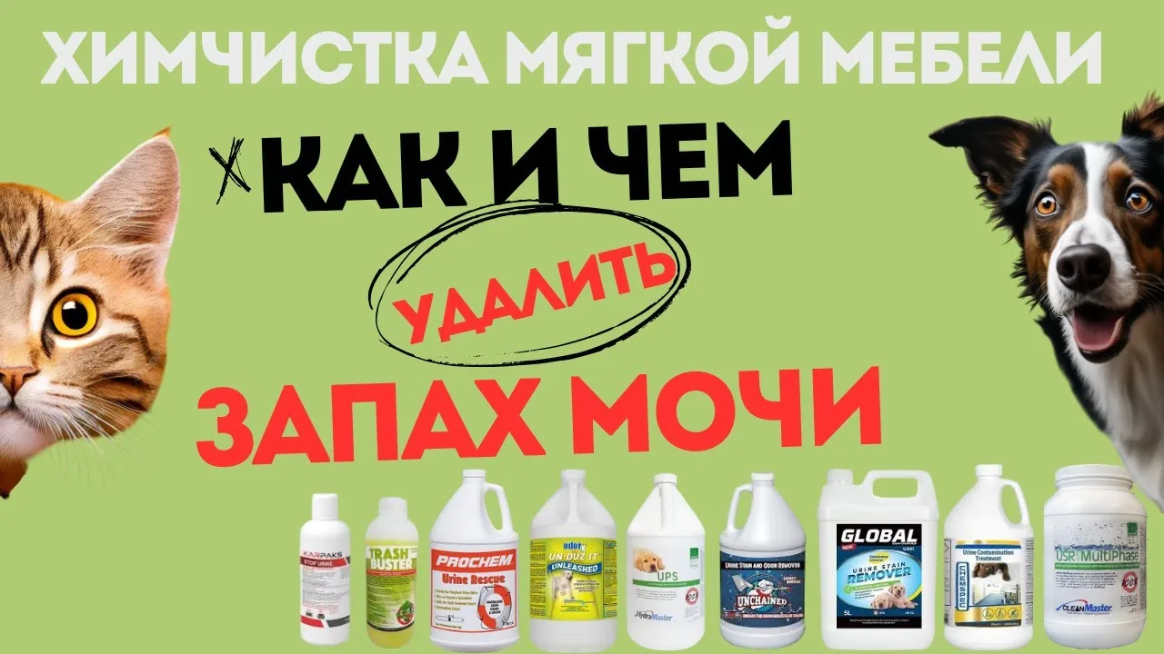 Видео на YouTube