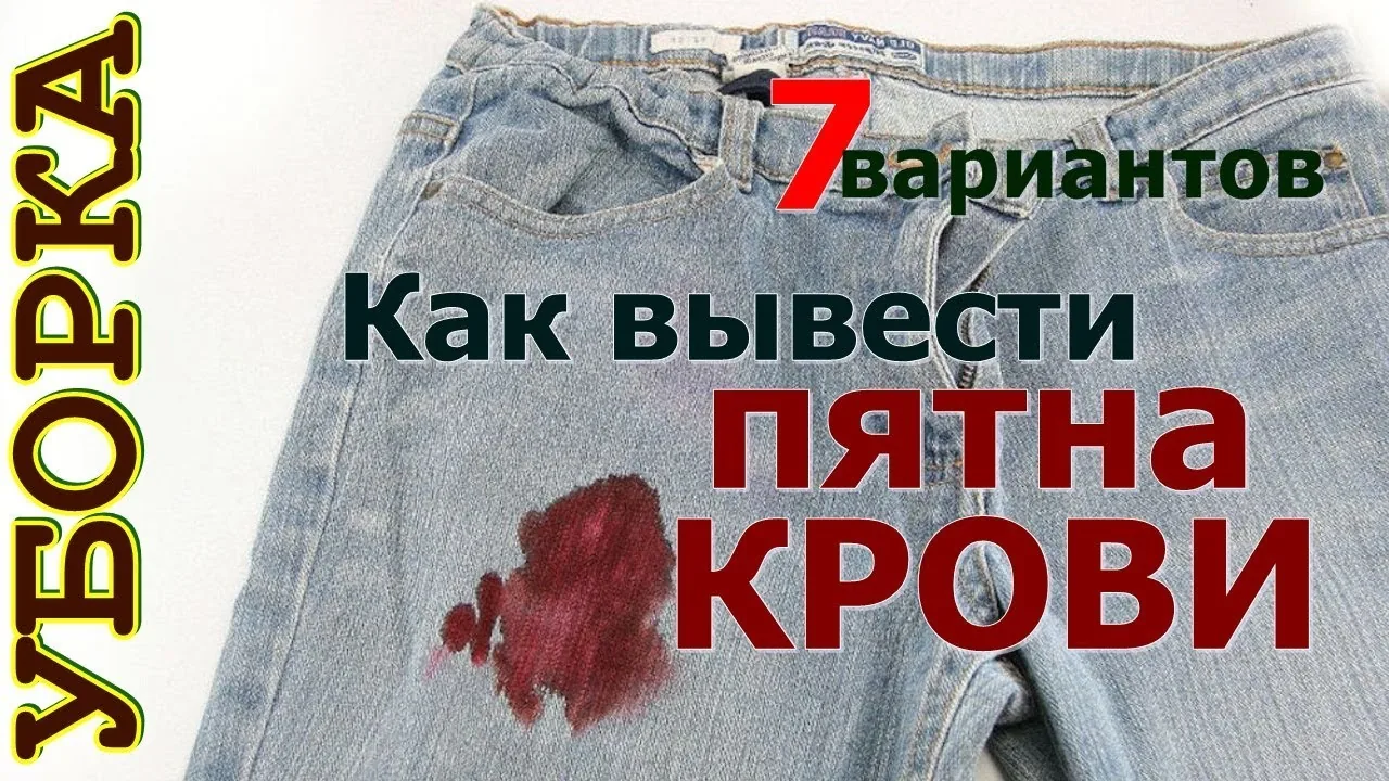 Видео на YouTube