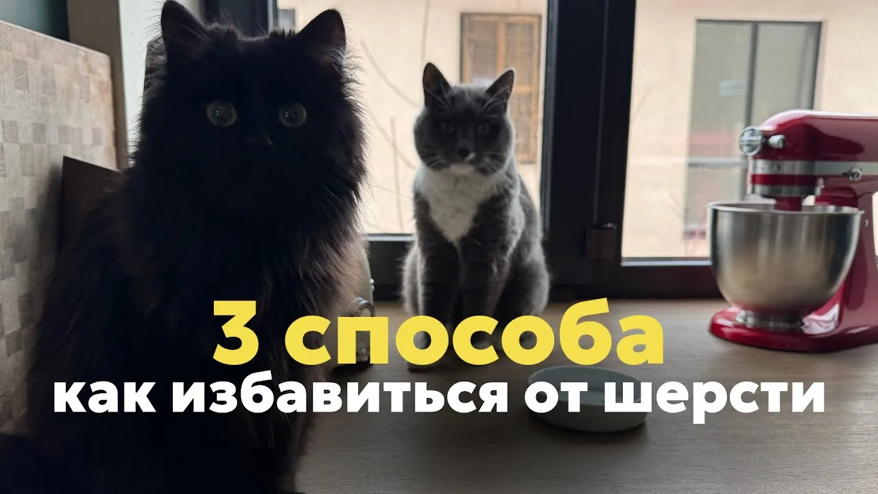 Видео на YouTube