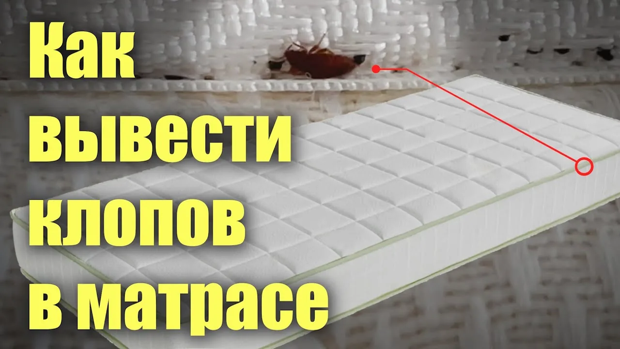 Видео на YouTube