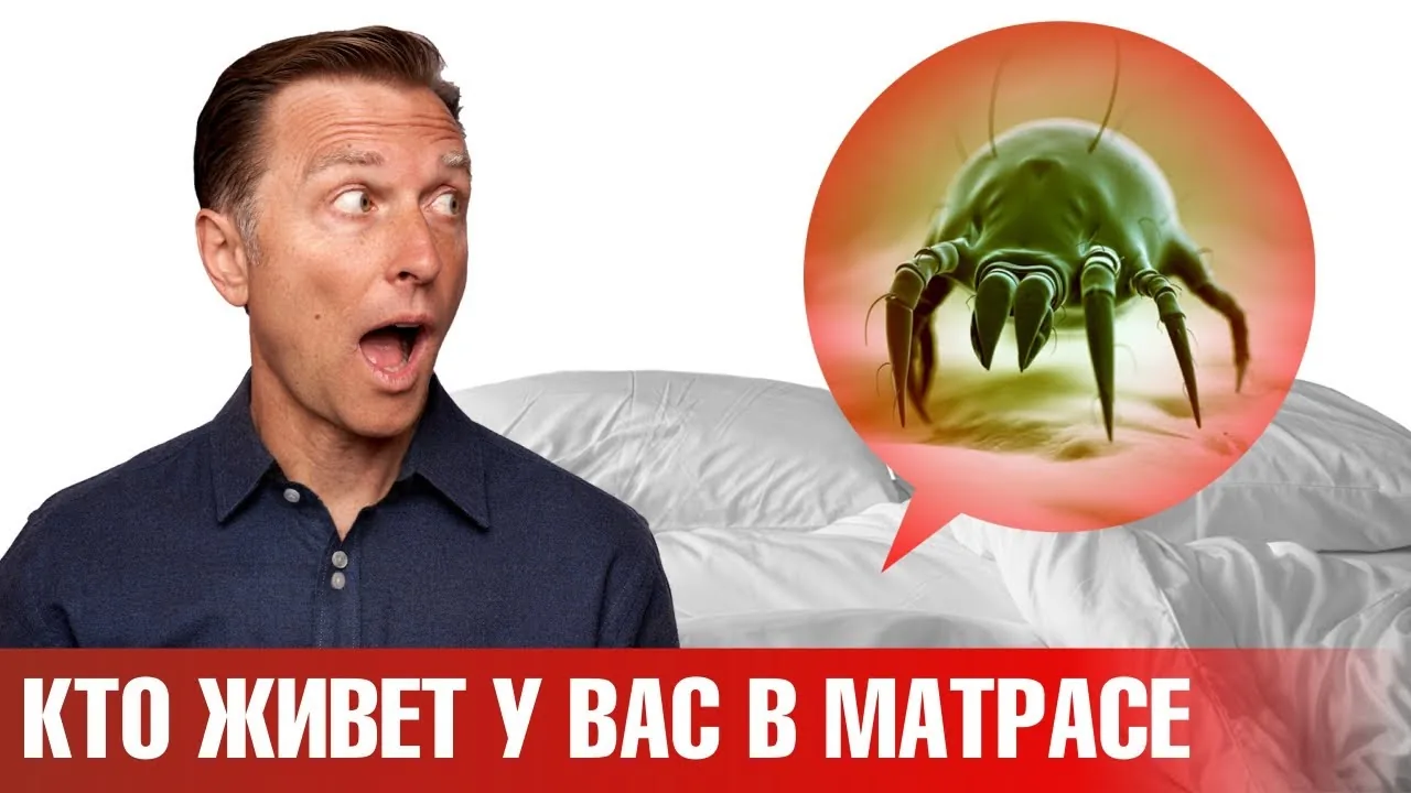 Видео на YouTube
