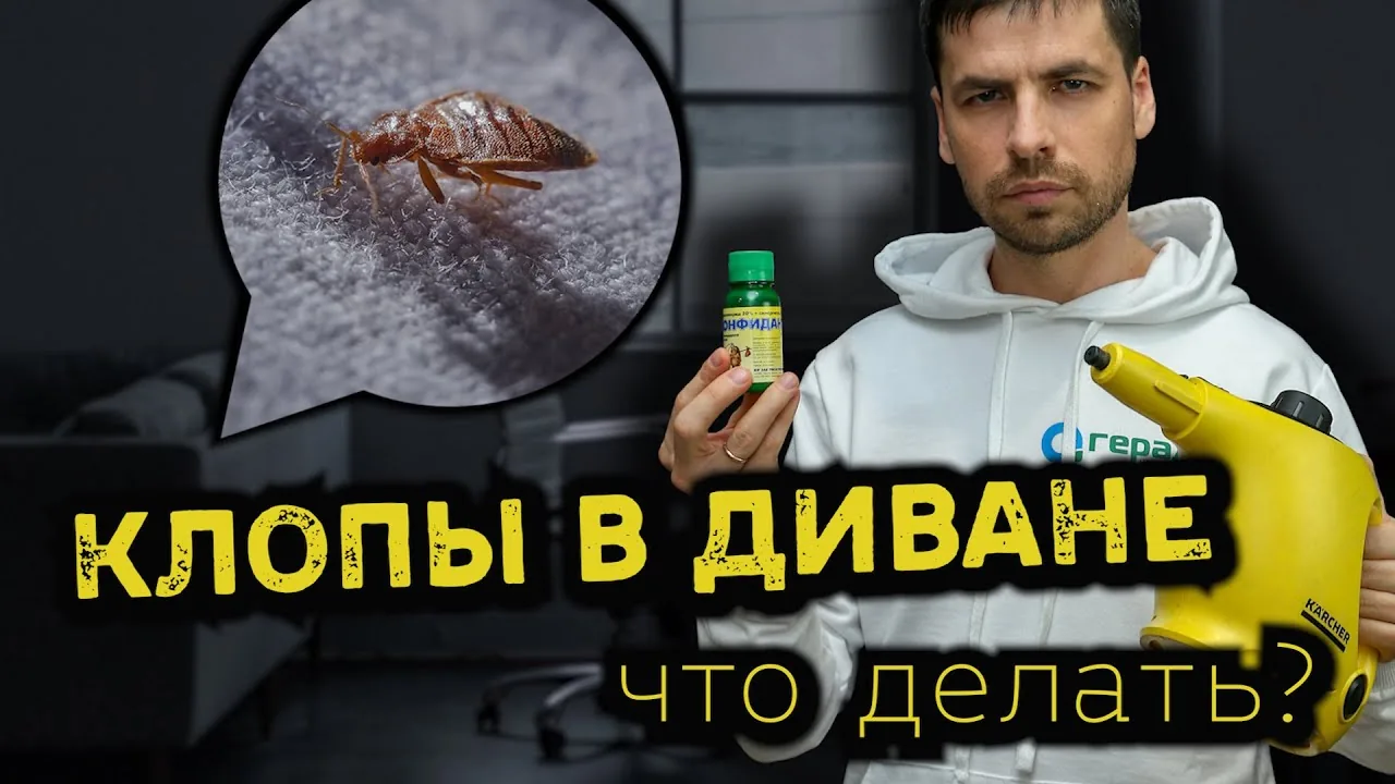 Видео на YouTube