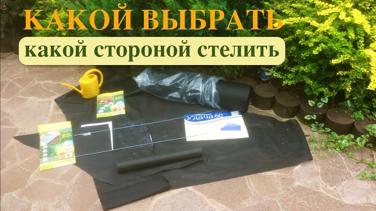 Видео на YouTube