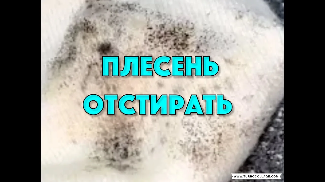 Видео на YouTube