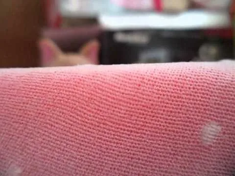 Видео на YouTube