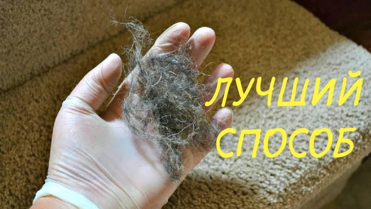 Видео на YouTube