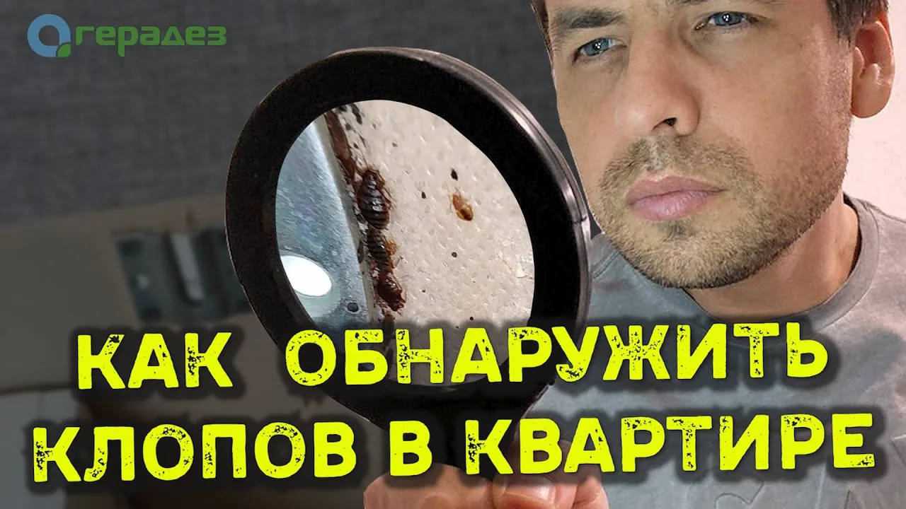 Видео на YouTube